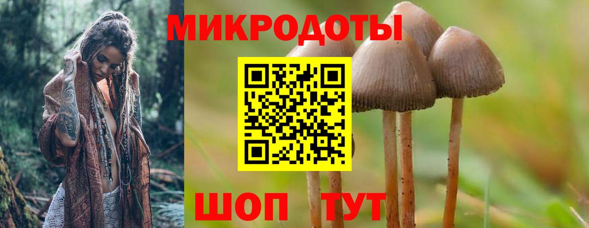 Саянск  Псилоцибиновые грибы ЛСД  Вход с VPN 